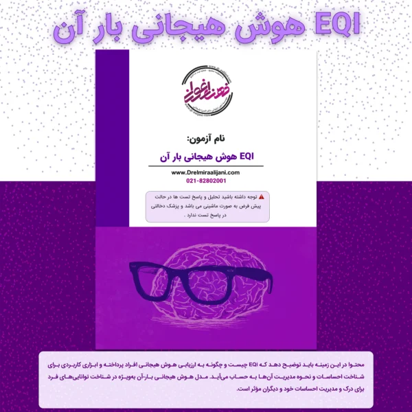 EQI هوش هیجانی بار آن